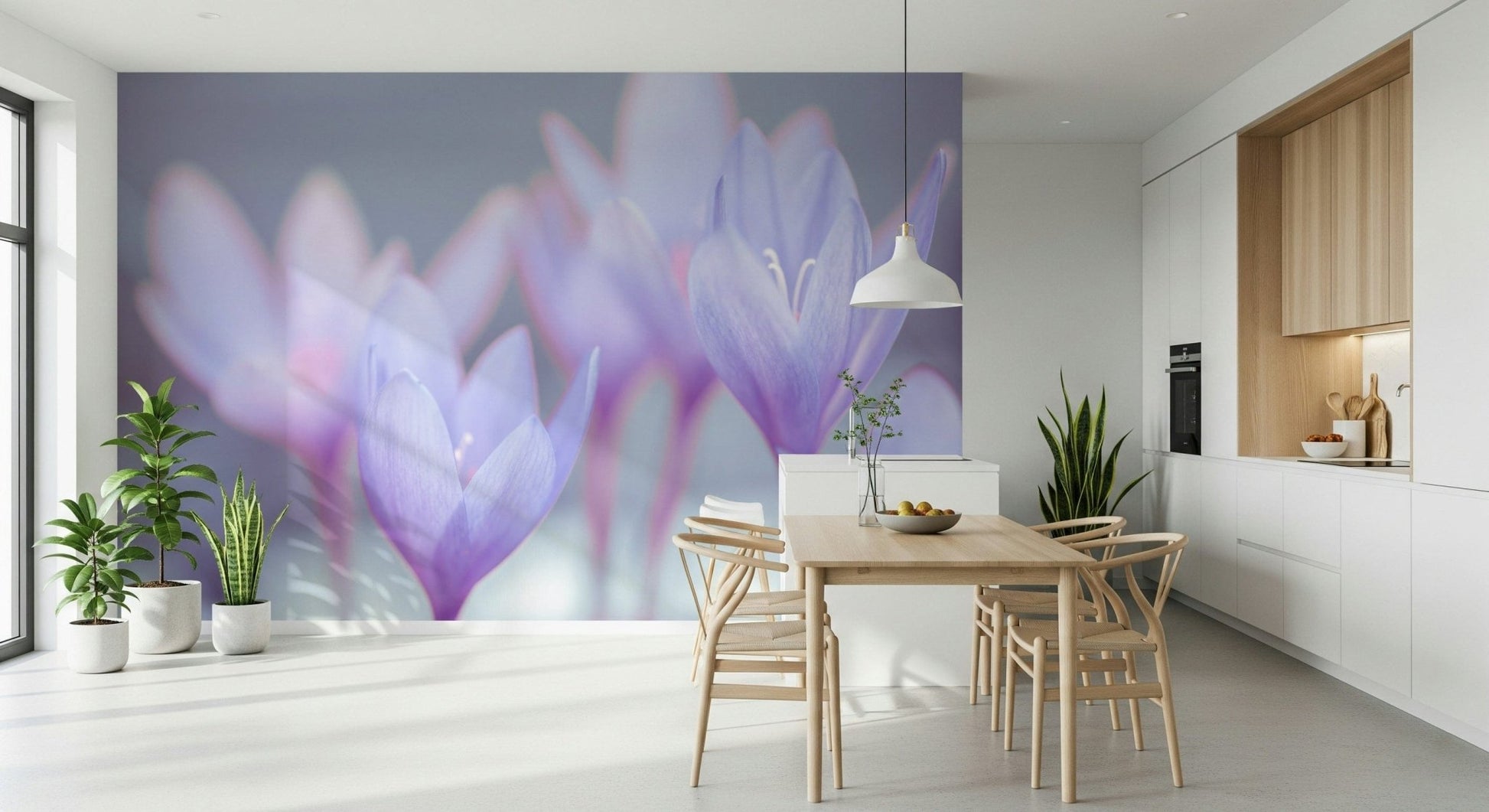 Violet Crocus wall mural blooming bulbs artistic decor., GD7115