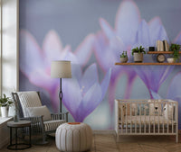 Serene Crocus wall mural calming pastel room feature., GD7115