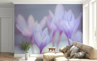 Botanical Crocus wallpaper for walls light lilac texture., GD7115