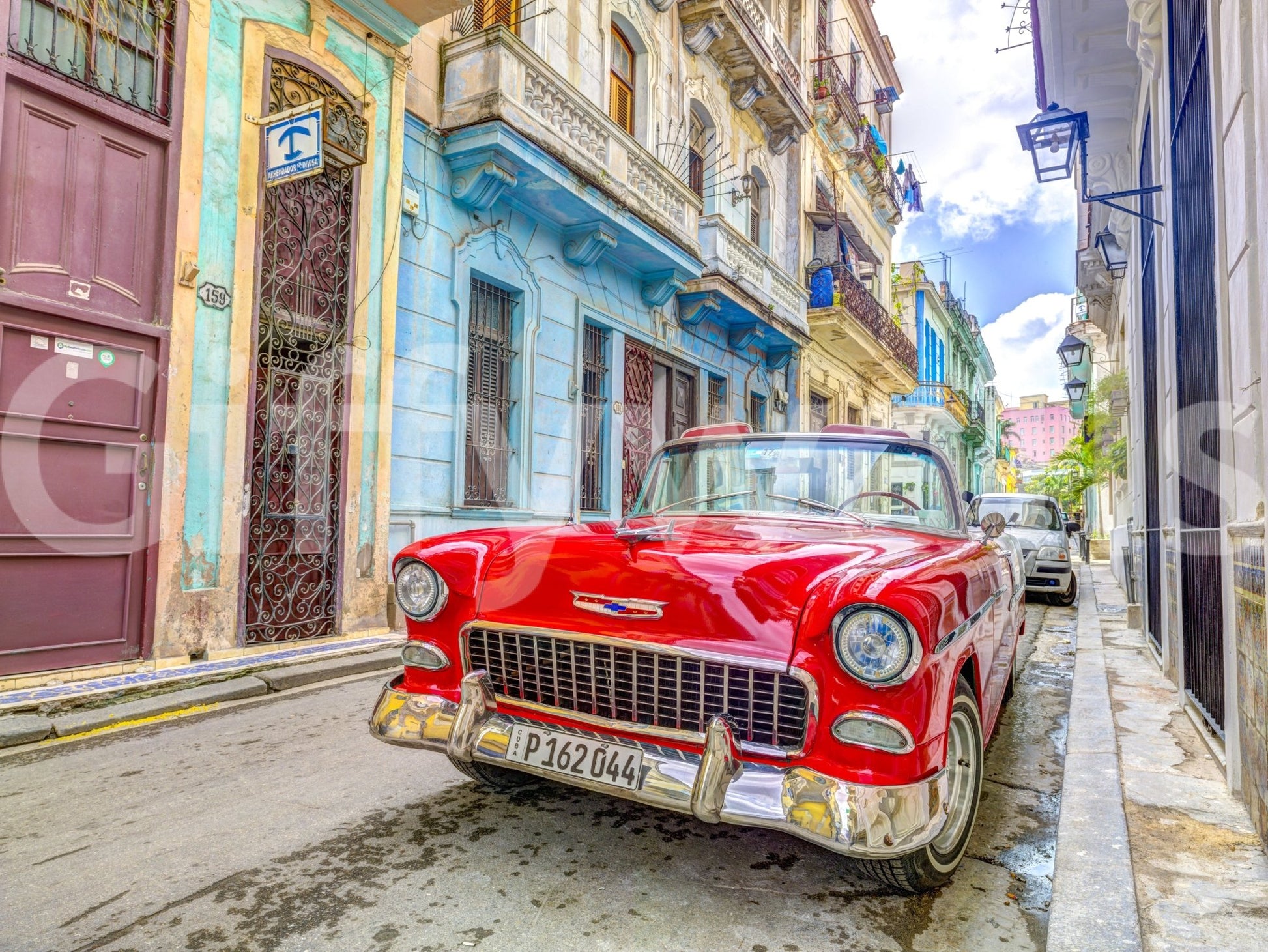 Beautiful palm trees and ocean on Cuban cruise wall mural.

