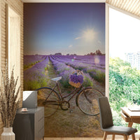 Lavender field wall mural with bike illustration

