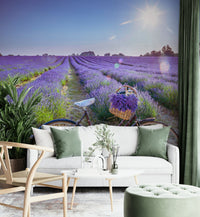 Cycle in a serene lavender field mural wallpaper

