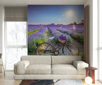 Beautiful cycle wallpaper with lavender scenery

