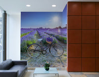 Relaxing lavender field with bike wall art

