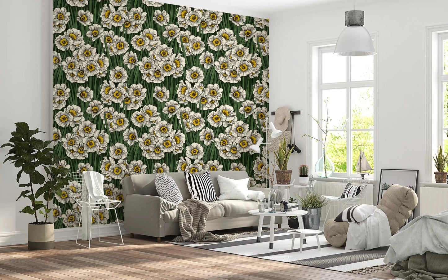 Daffodils Wallpaper⁠GD9573