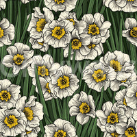 Daffodils Wallpaper⁠GD9573
