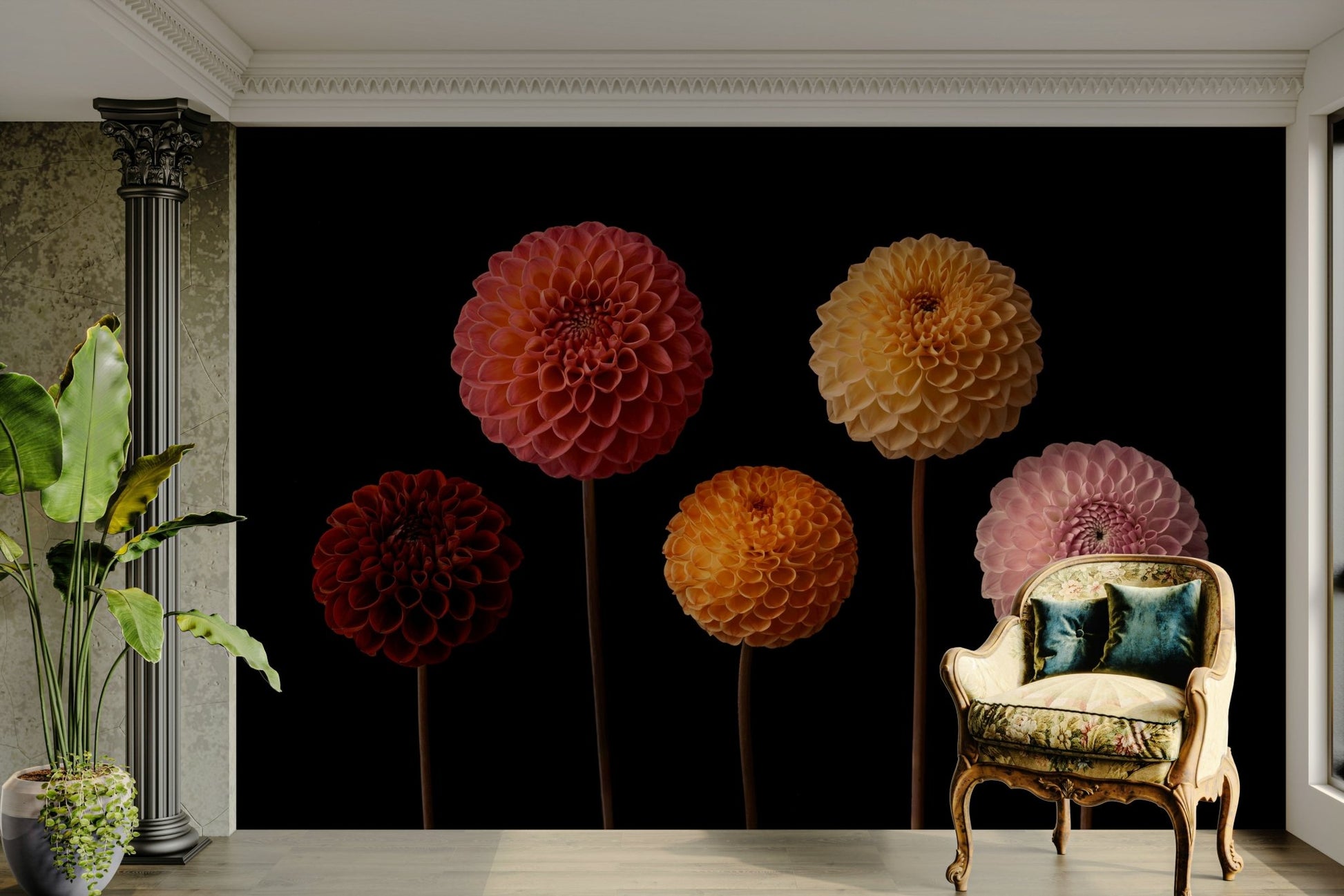 Dahlia Diversity Wall Mural