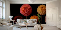Dahlia Diversity Wall Mural