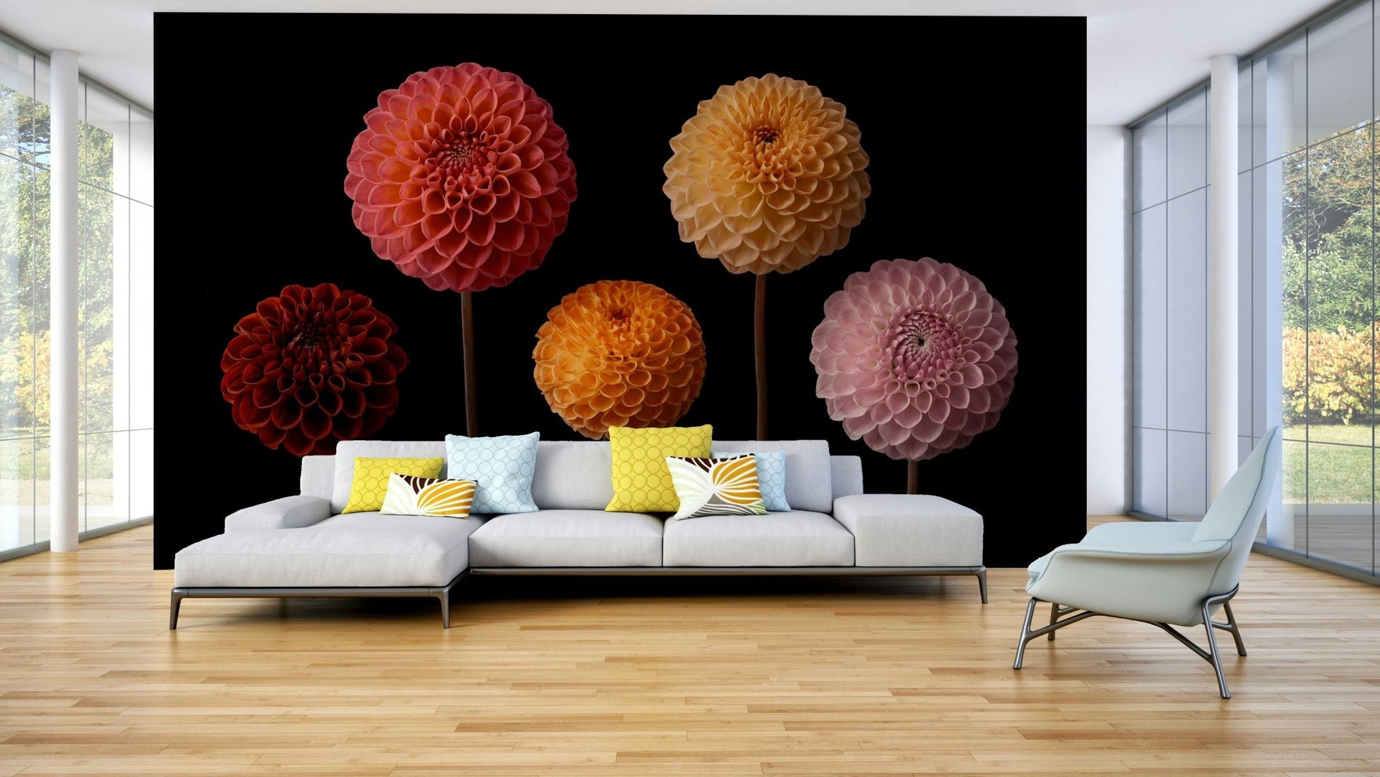 Dahlia Diversity Wall Mural