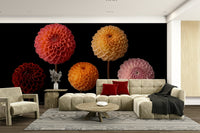 Dahlia Diversity Wall Mural