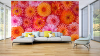 Pink and white dahlia bloom wall design


