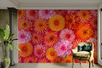 Close-up dahlia flower wallpaper mural

