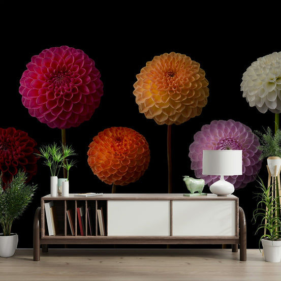 Dahlia Spectrum floral wall mural design, GD2028