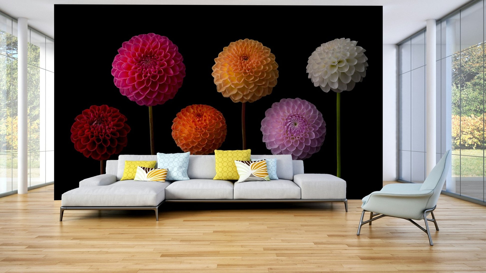 Colorful dahlia flower wallpaper mural