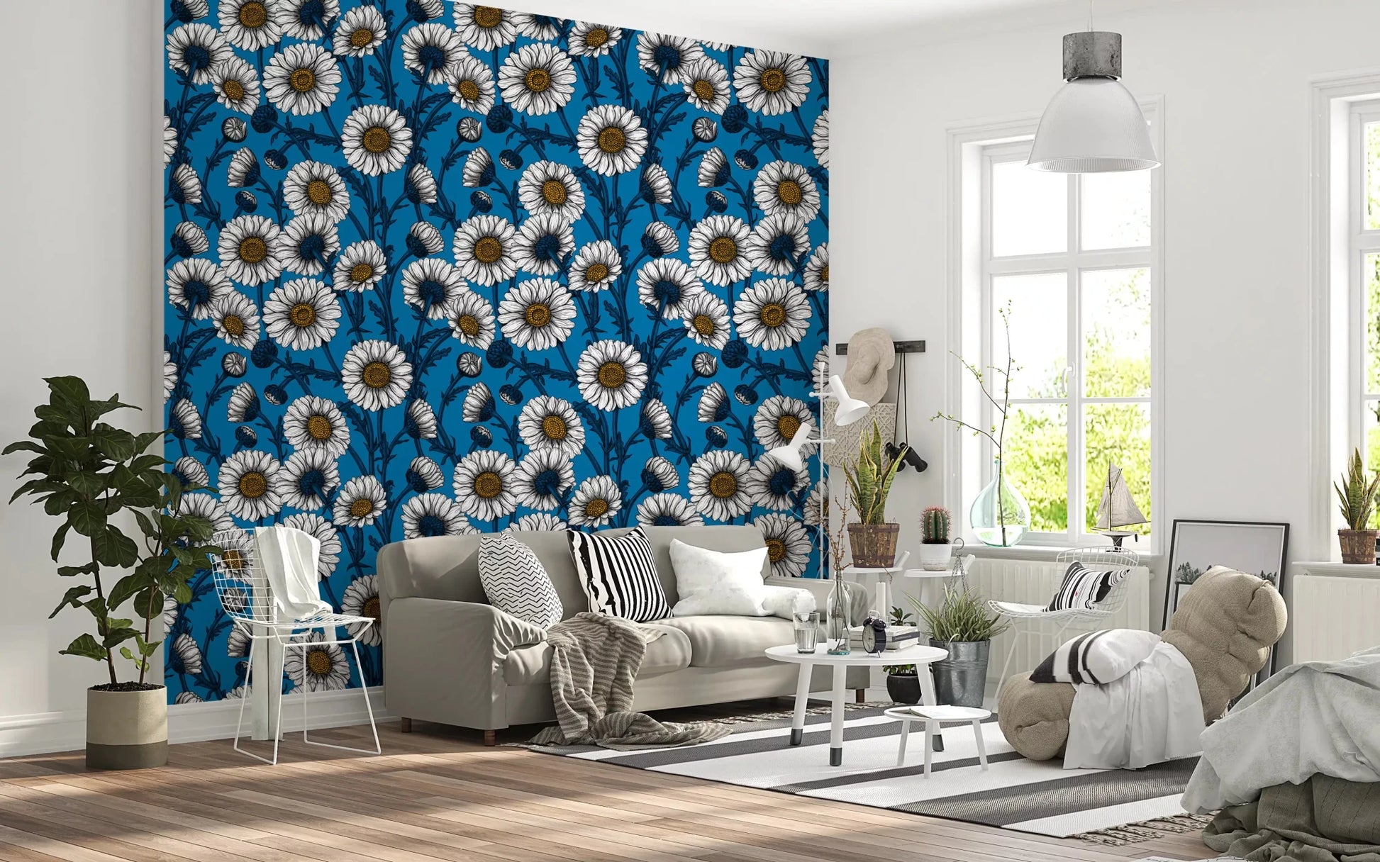 Crisp white daisy petals open across Cobalt Daisy wallpaper. ⁠GD9577