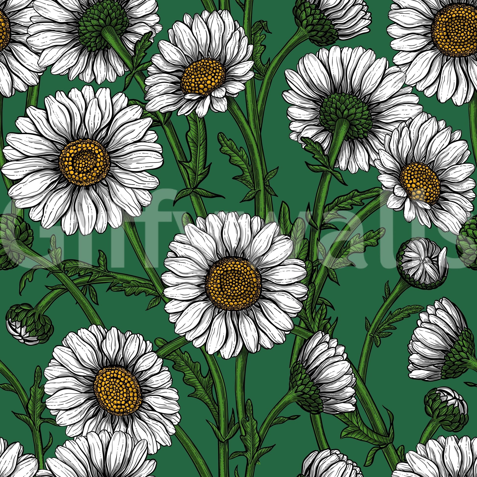 Rounded green bud clusters tuck between flowers in Emerald Daisy wallpaper ⁠GD9576