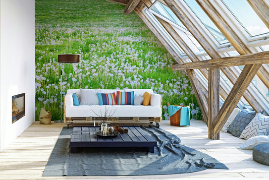 Dandelion field wallpaper with green meadow
