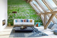 Dandelion field wallpaper with green meadow
