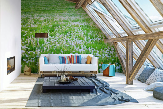 Dandelion field wallpaper with green meadow
