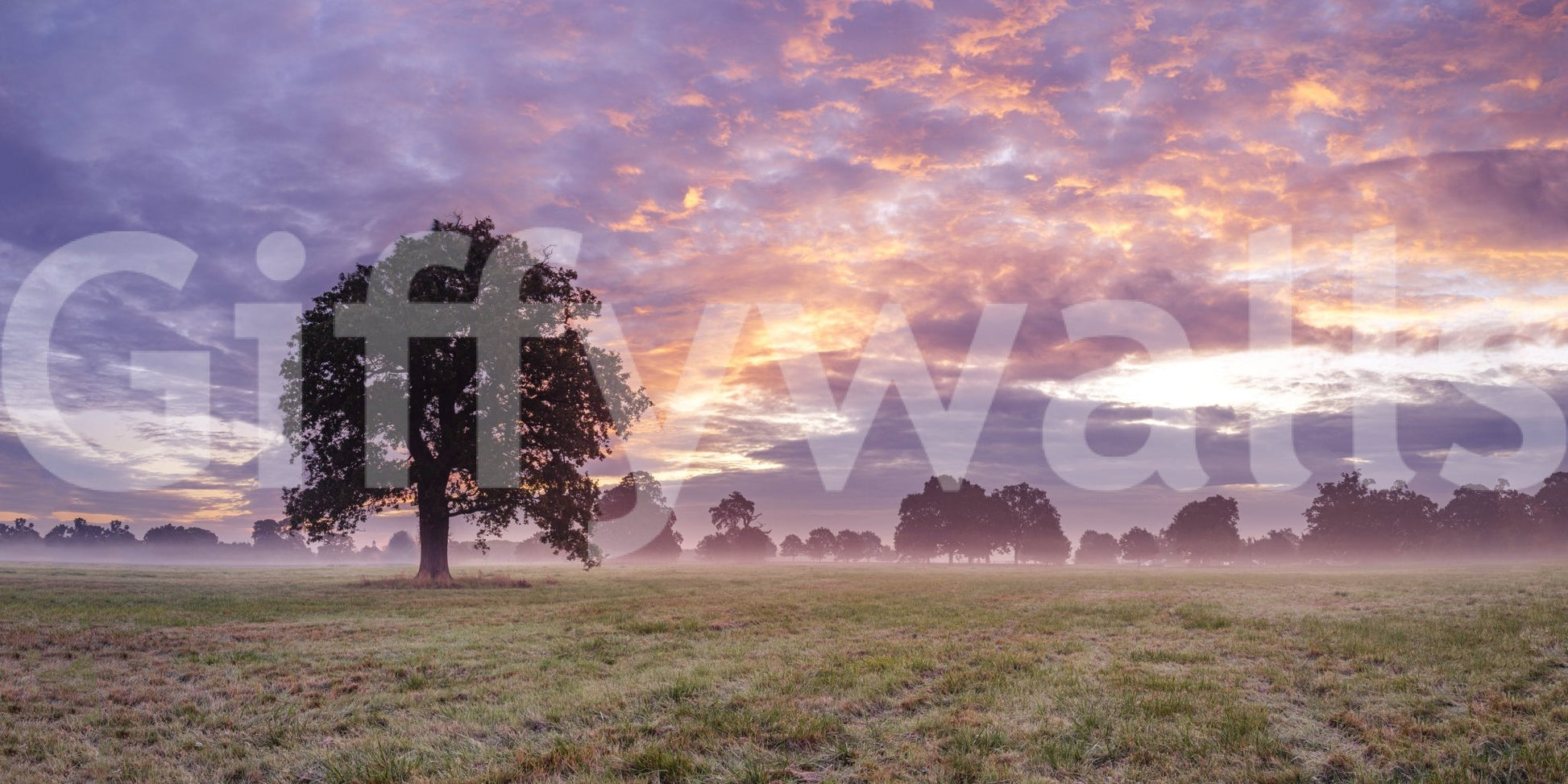 Wall decor evoking morning serenity.

