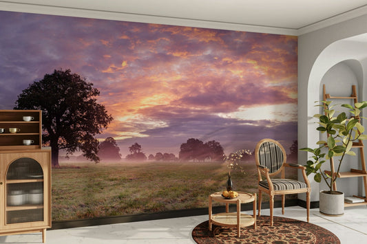 Tranquil landscape at dawn.

