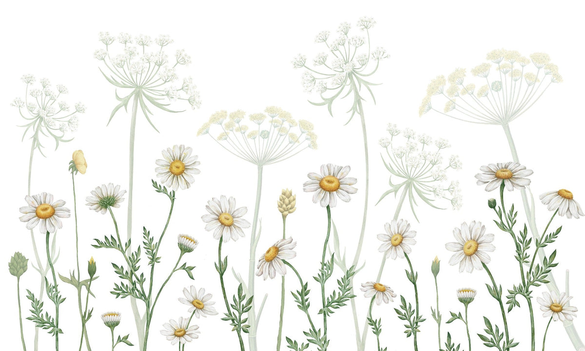 vibrant Daisy Meadow wall murals