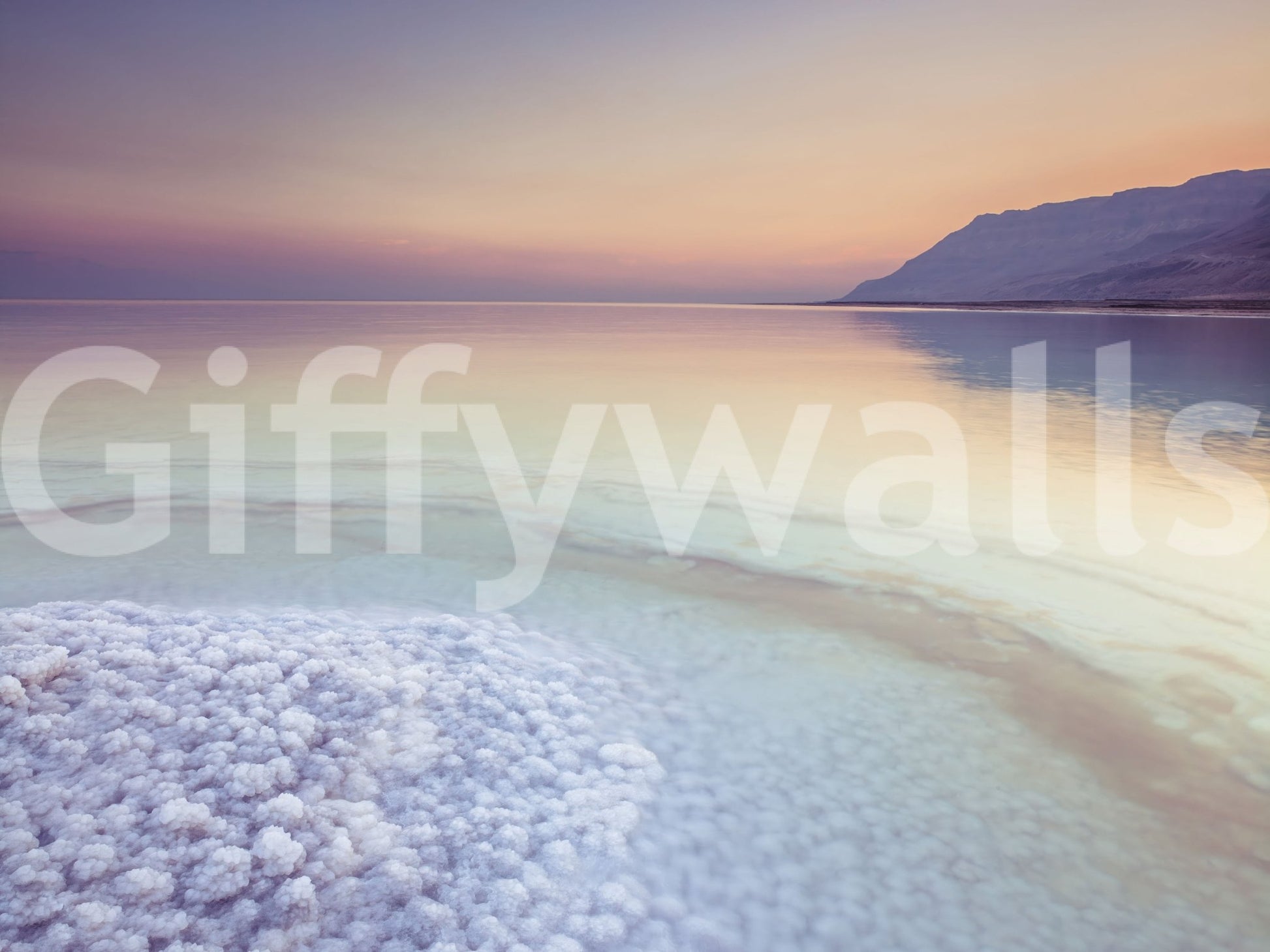 Serene Dead Sea Shore mural for a peaceful atmosphere.

