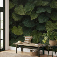 A few droplets of water rest on a large leaf.

