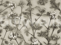 Spring bloom branches Delicate Blossoms print, refined home decor., GD6700