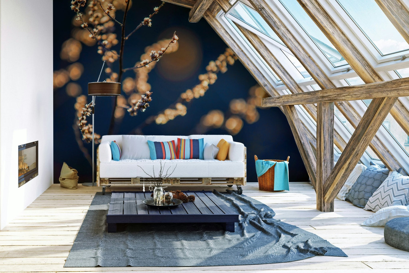 Delicate floral grasses in soft light.

