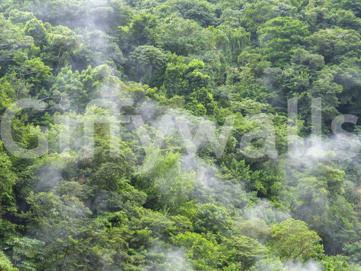 Serene nature forest mural with trees

