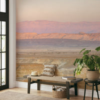 Calm desert morning scene mural

