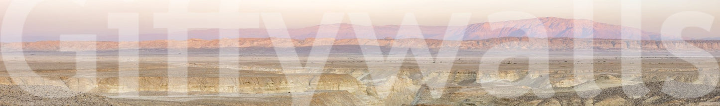 Wide desert dawn view for home walls

