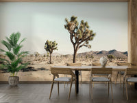 Sense of calm, vastness, and tranquility.

