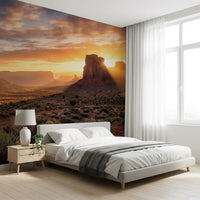 Desert buttes wall mural showing warm tones and open terrain