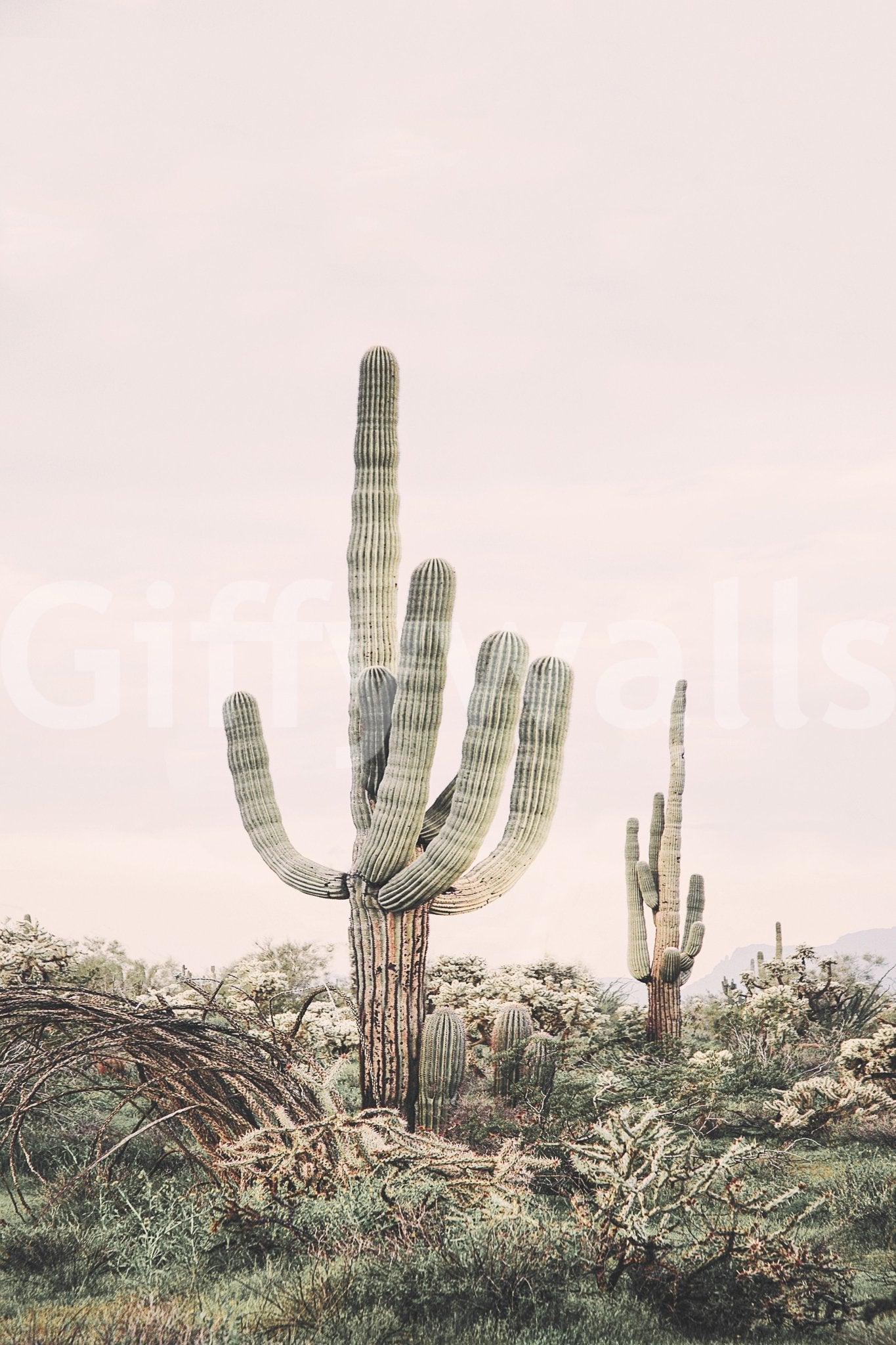 Desert Majesty Wall Mural