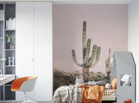Desert landscape wall mural in warm sunset colors

