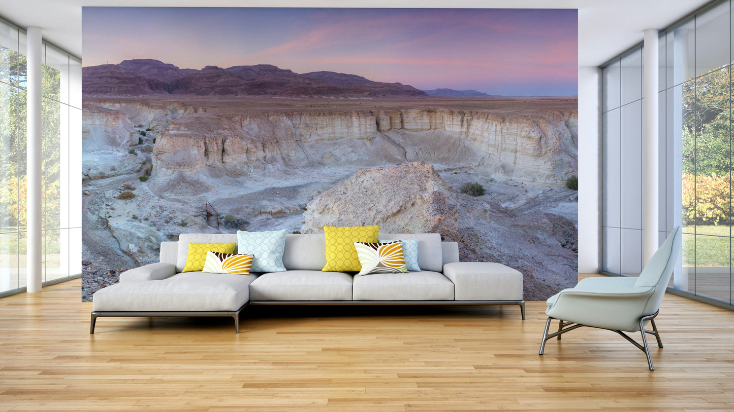 Desert Valley View Wall Mural