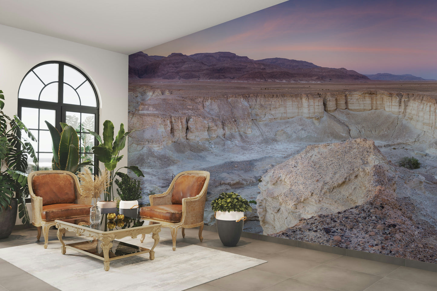 Desert Valley View Wall Mural