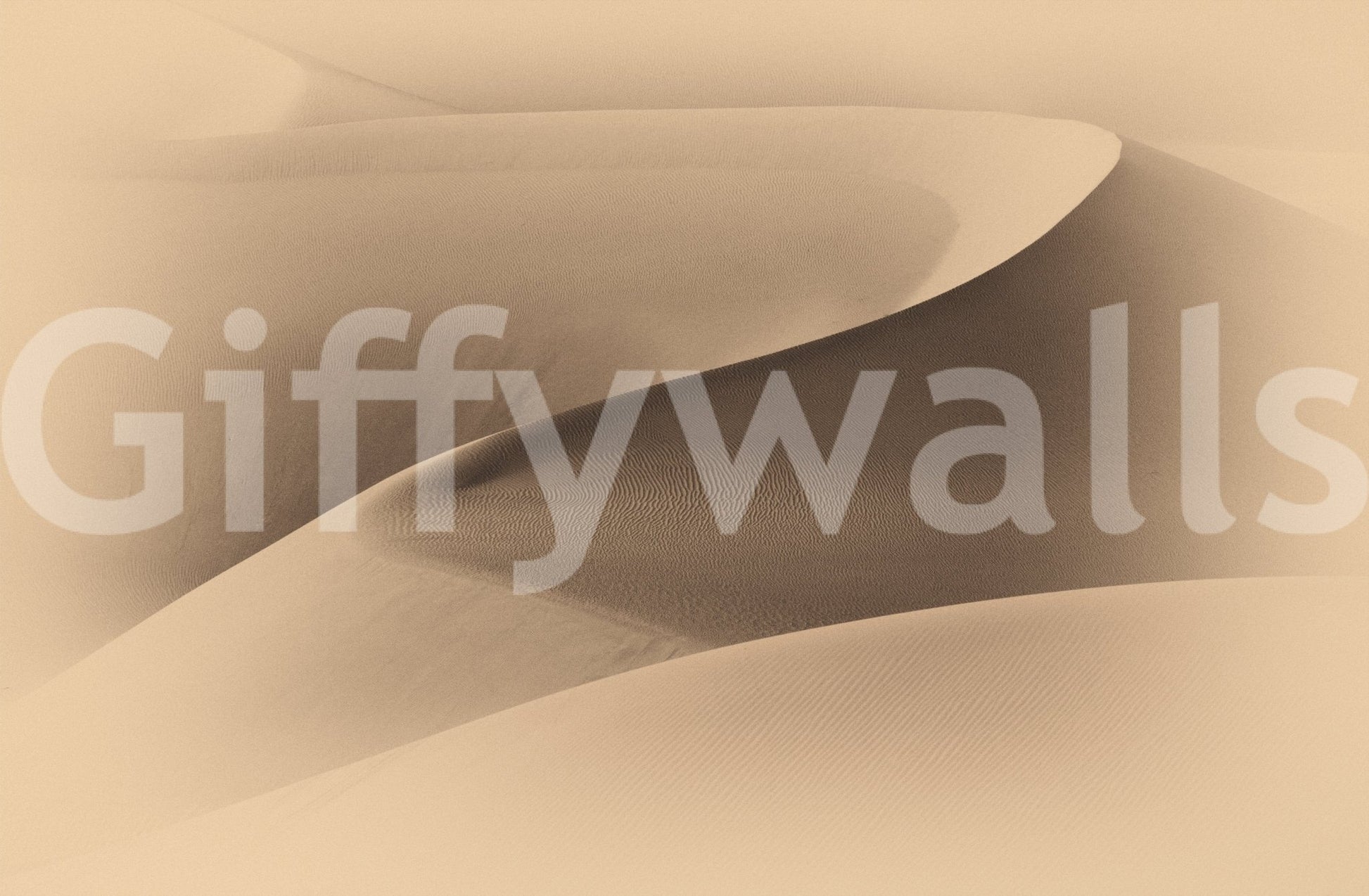 A high-quality minimalist wall mural for walls.