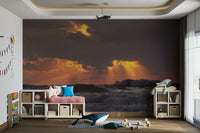 A graceful modern abstract wallpaper mural for a feature wall.

