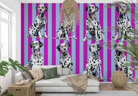 The distinctive dot pattern of the Diamond Dalmata Wall Mural in a stylish closet.