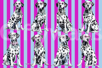 Luxury aesthetic achieved with the Diamond Dalmata wallpaper and brass accents.