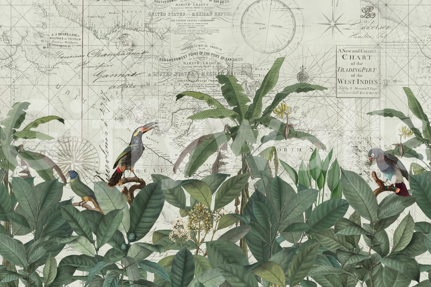 Dark floral wallpaper for tropical interiors

