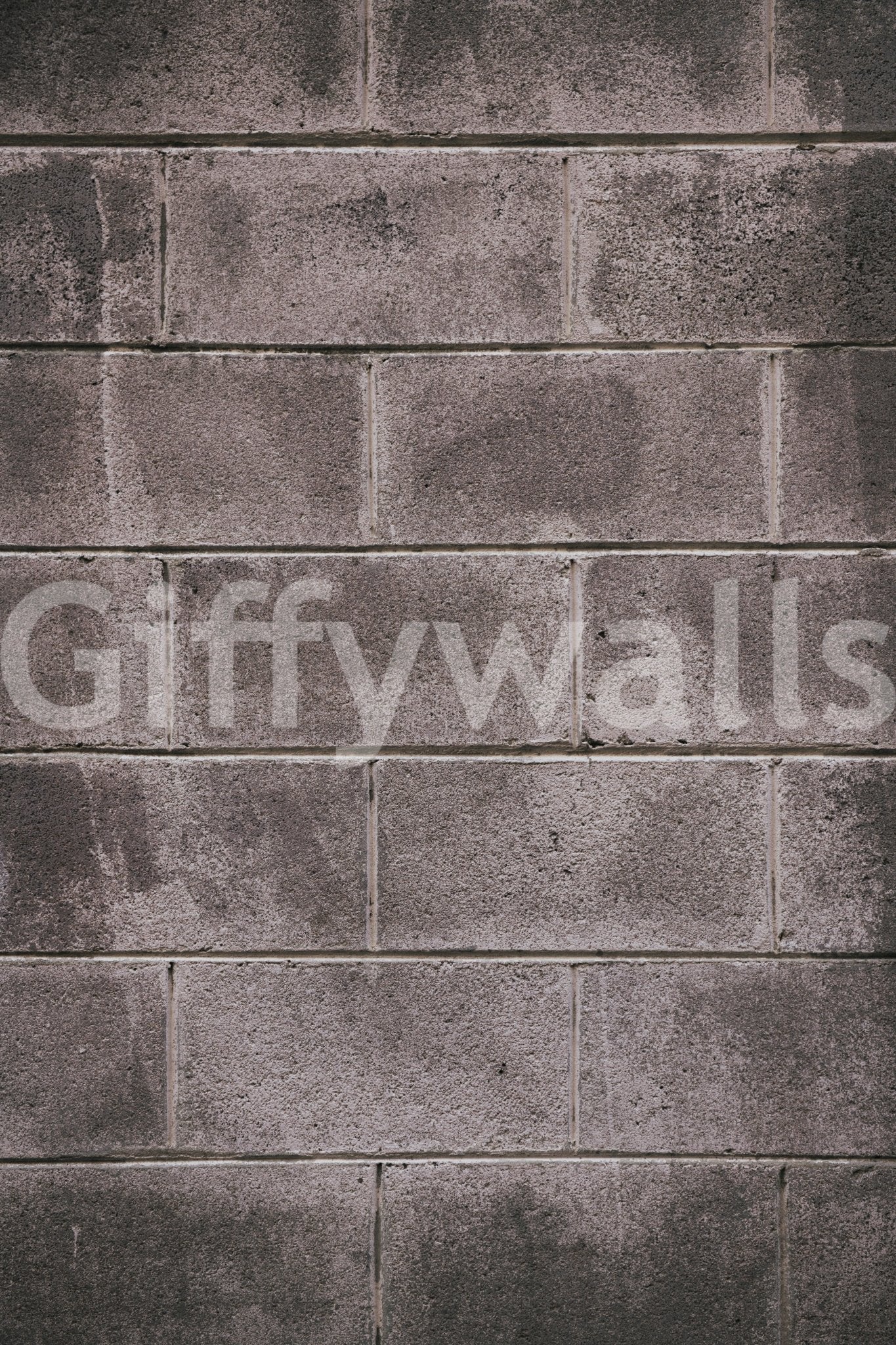 Subtle textured plaster effect in a wabi-sabi living space mural.