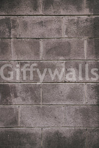 Subtle textured plaster effect in a wabi-sabi living space mural.