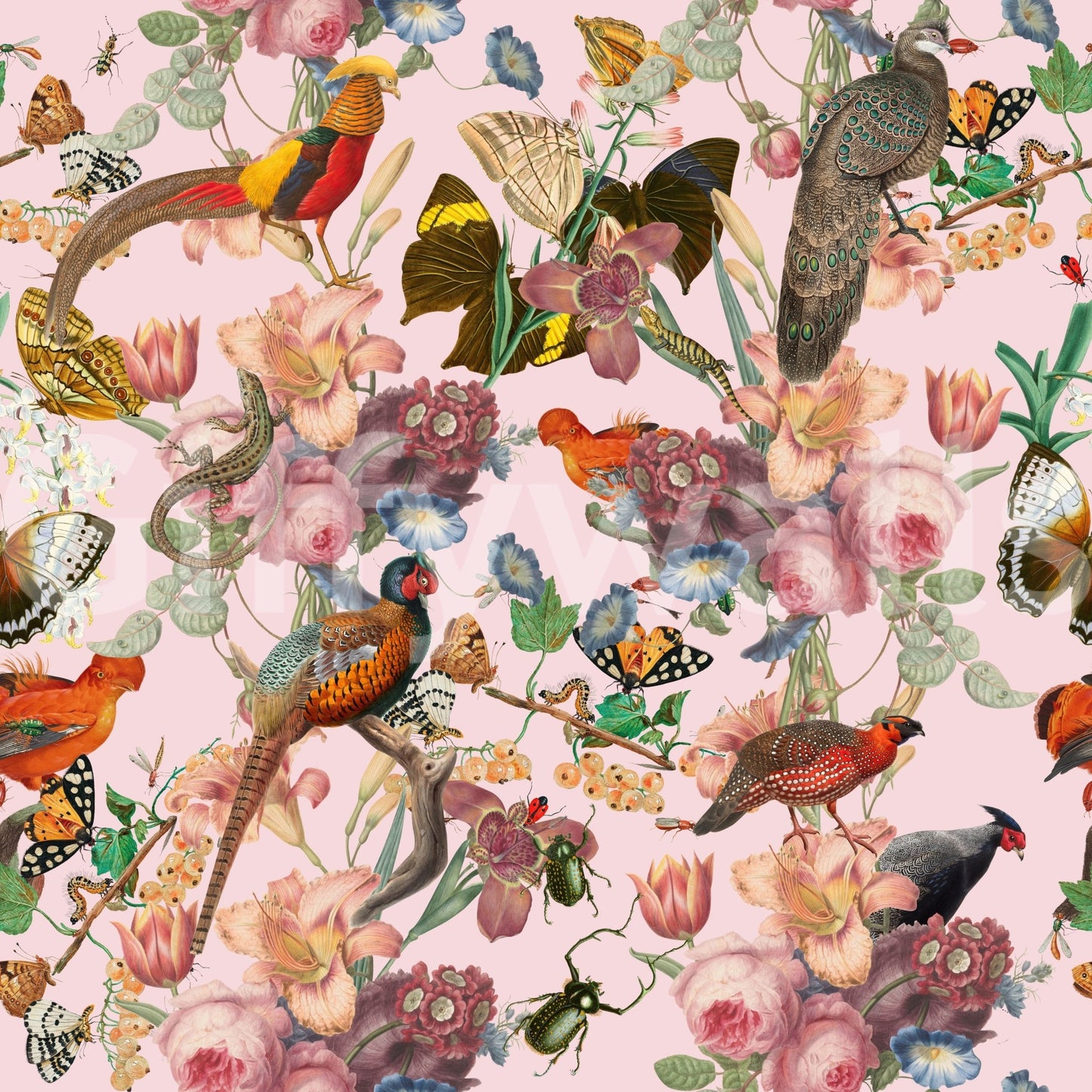 Divertirs Wall Mural