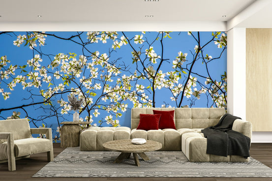 Dogwood tree wallpaper with white blossoms, GD2387