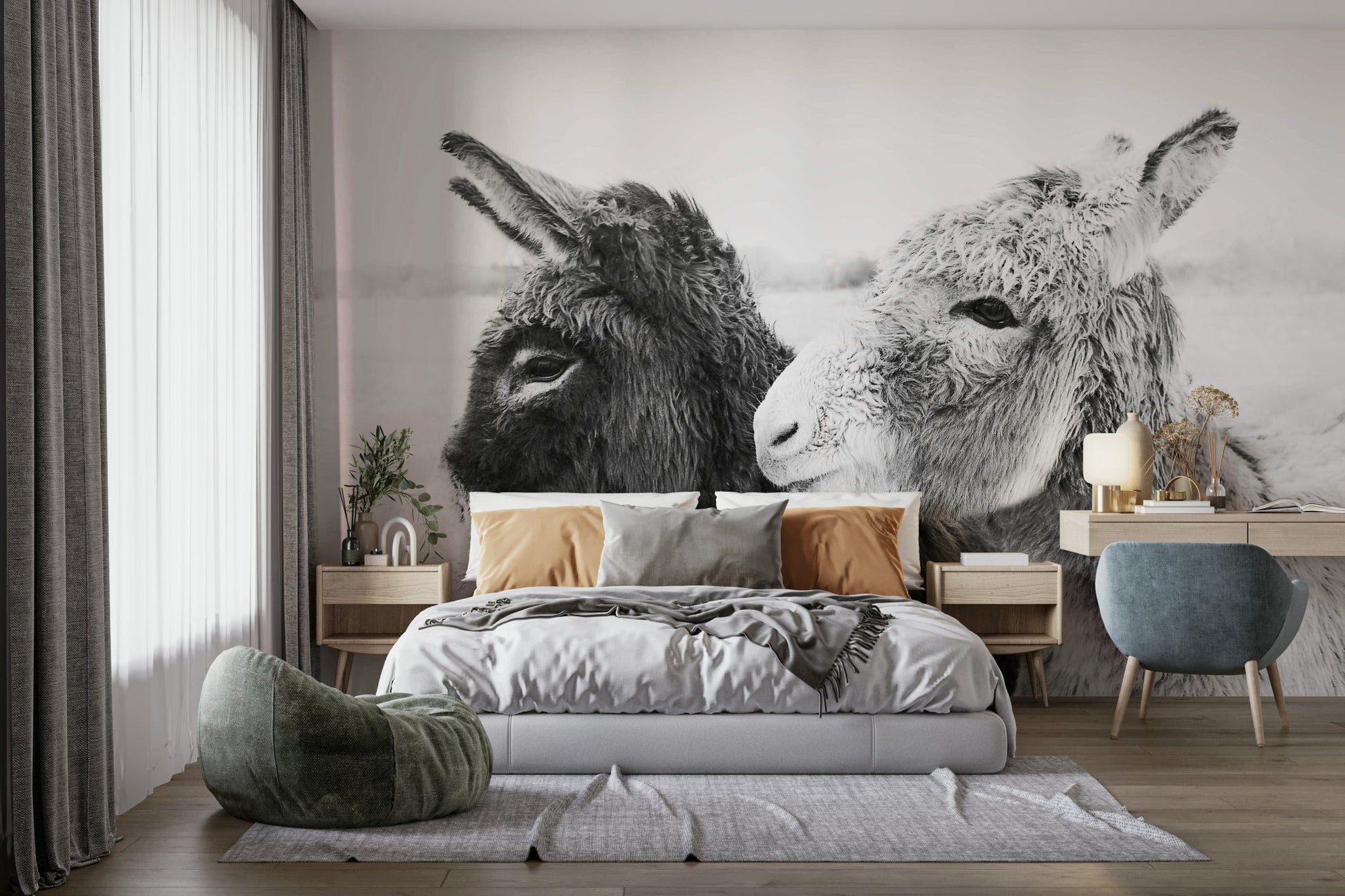 Endearing donkeys with gentle expressions.

