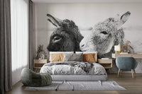 Endearing donkeys with gentle expressions.

